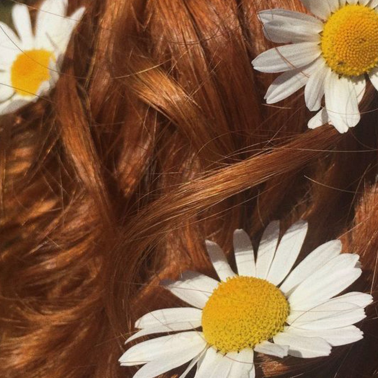 Image of a woman with braids adorned with flowers, showcasing a natural hairstyle.